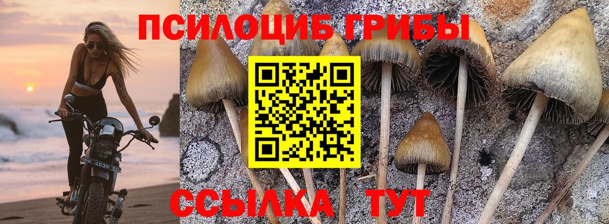 Псилоцибиновые грибы GOLDEN TEACHER  Вход с VPN  Алексеевка 